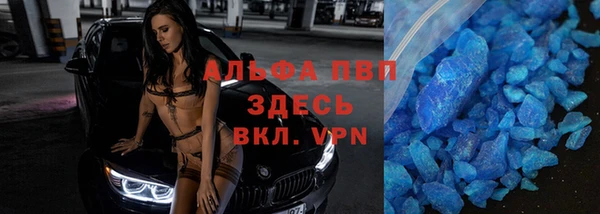 прущие грибы Богородицк