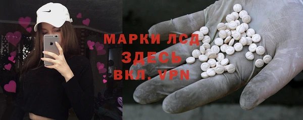 прущие грибы Богородицк