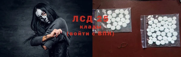прущие грибы Богородицк