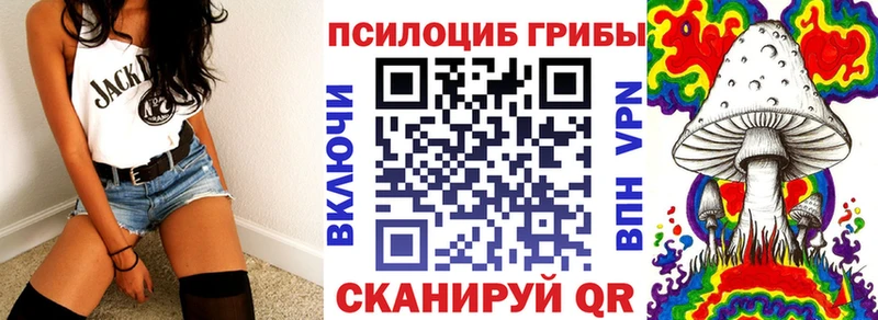 ссылка на мегу онион  Высоцк  Псилоцибиновые грибы MAGIC MUSHROOMS 